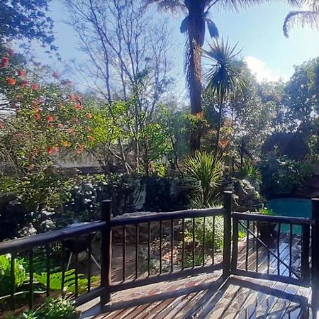 Pantera Lodge & Cheetah Cottage Johannesburg Luaran gambar
