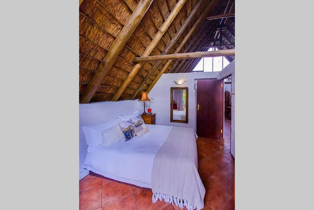 Pantera Lodge & Cheetah Cottage Johannesburg Luaran gambar