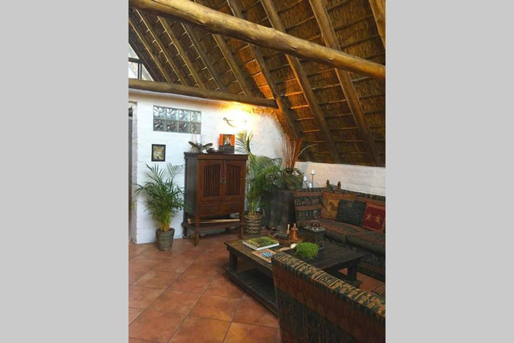 Pantera Lodge & Cheetah Cottage Johannesburg Luaran gambar