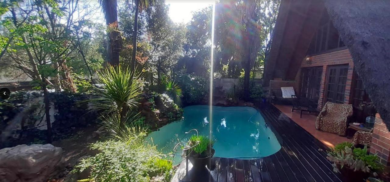 Pantera Lodge & Cheetah Cottage Johannesburg Luaran gambar